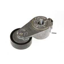 Tendicinghia, Cinghia