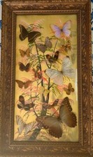 FARFALLE QUADRO VINTAGE ANNI 60