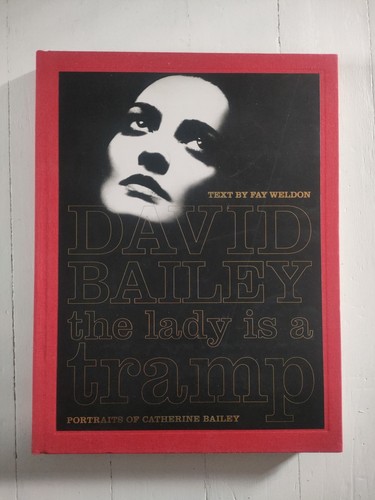 David bailey the lady a - the, is