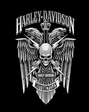 Set di 2 magneti per frigorifero/cassetta attrezzi diversi - Harley Davidson