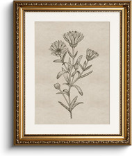 Quadro in Tela Con Cornice