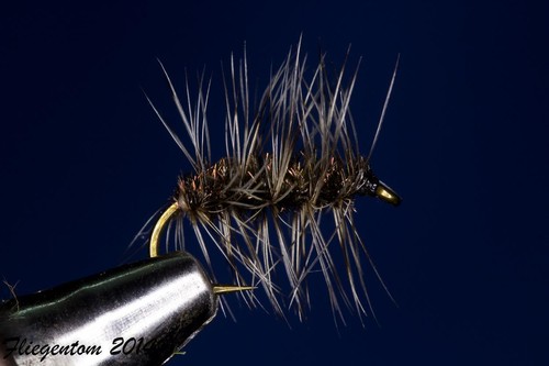 Griffith gnat zanzara - -,