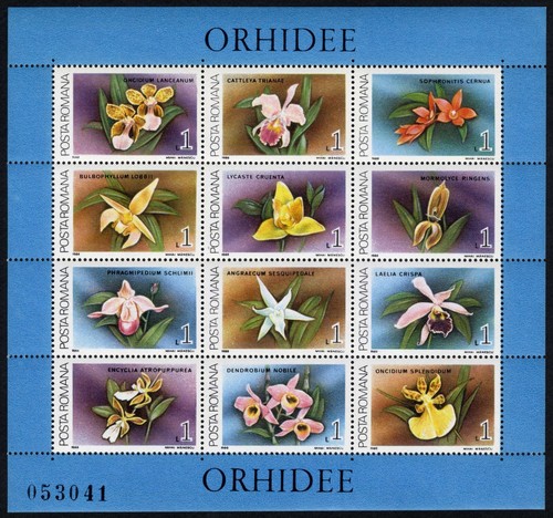 Romania 1988 mini - fogli, 12