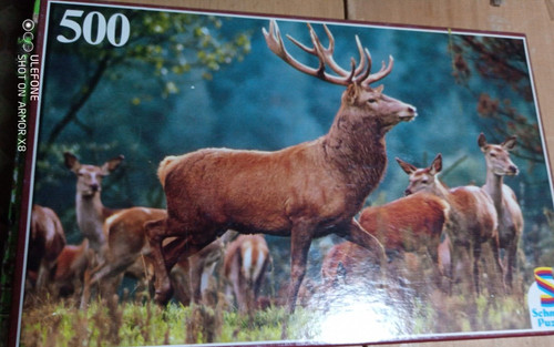 Scatola gioco puzzle - 500, pezzi