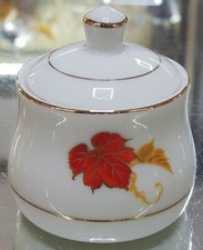 95 PZ ZUCCHERIERA PORCELAINE