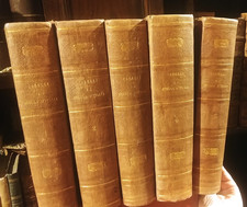 CORELLI PIETRO  La Stella