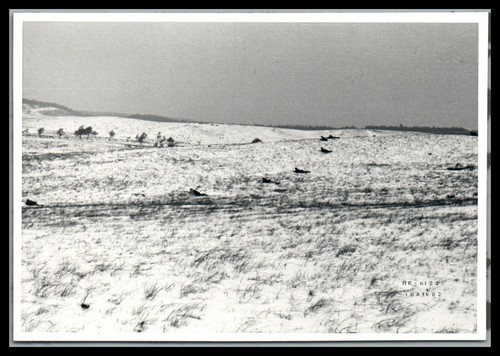 Foto ww2 polizia forze - foto,,