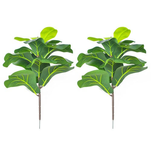 2pz foglia violino - foglia,