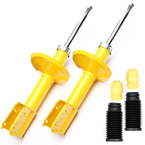 Ammortizzatori sport gas - 2x,