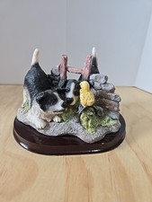 Border Collie Pups And A Baby