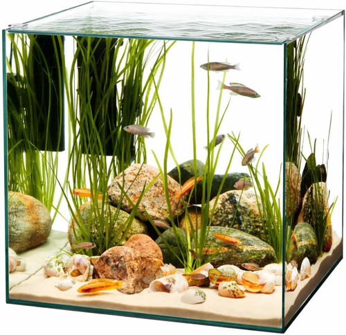Cube acquario cubico in - cube,