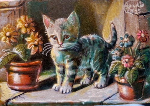 Aceo jacob landis cute tabby - landis,
