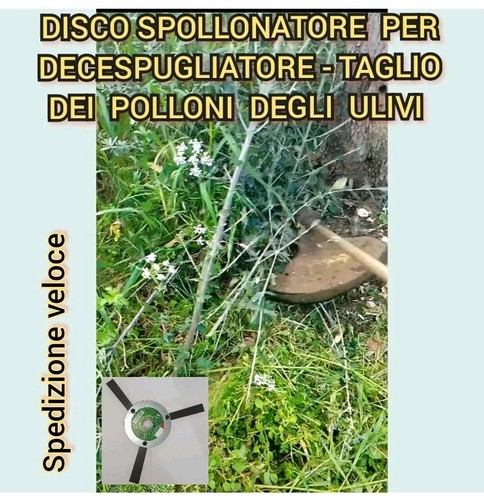 Disco spollonatore universale - disco,