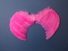 Ali piumate fucsia - ali, con