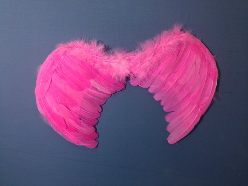 Ali piumate fucsia - fucsia, con