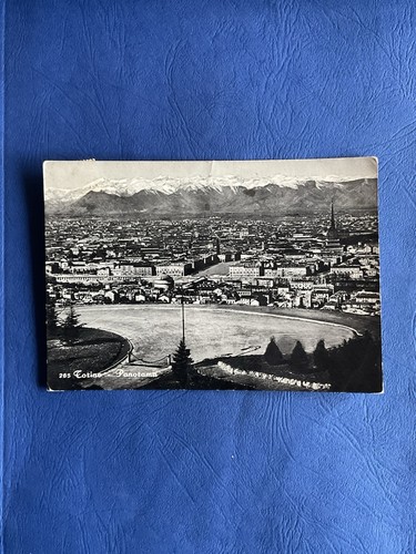 Cartolina torino panorama - ,