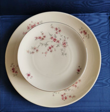 Lotto 11 piatti piani + 1