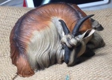 Neapolitan Animal Nativity