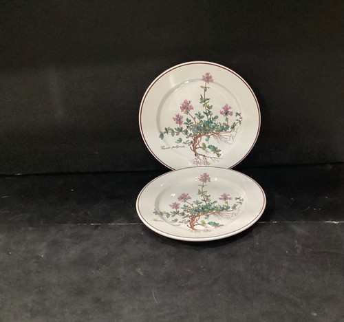 Villeroy boch botanica - villeroy,