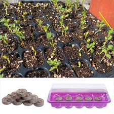  Set 2 pezzi vassoio per