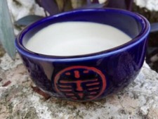 2 PICCOLI VASI PER BONSAI (1 NUOVO, 1 USATO IN OTTIME CONDIZIONI) LEGGI TESTO