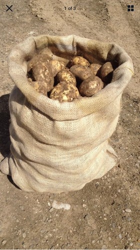 Sacchi grandi iuta per - 5,