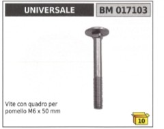 Vite con quadro per - , m6