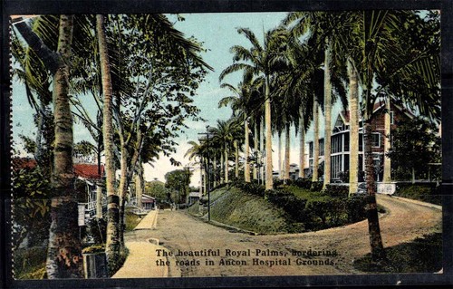 Panama 1915 cartolina 100 - cartolina, non