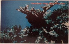 Cartolina d'epoca John