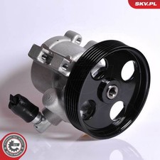 Pompa Idroguida per Citroen