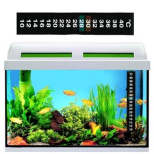 TERMOMETRO ACQUARIO PESCI
