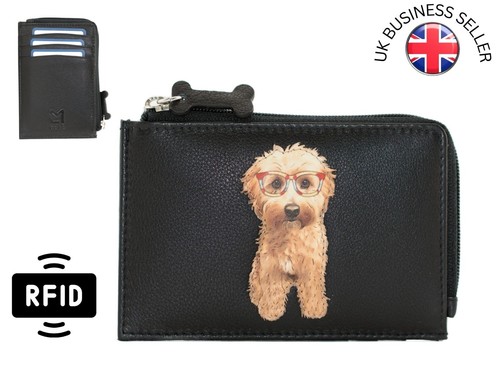 Maltipoo cavapoo rfid - cavapoo,