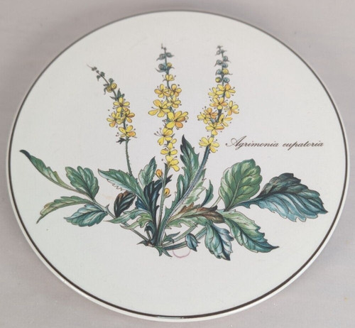 Villeroy boch botanica - boch,