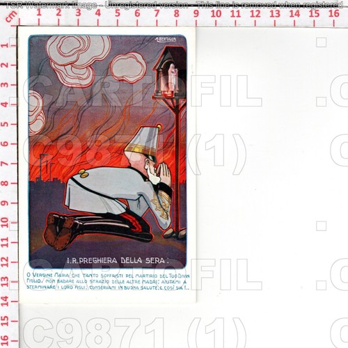 C9871 illustratore bertiglia - c9871,