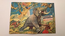 Album figurine dalla foresta - album,
