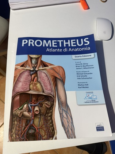 Prometheus atlante anatomia - prometheus, di