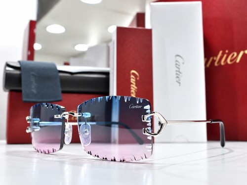 Occhiali sole cartier - sole,