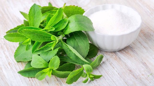 Semi selezionati stevia - selezionati,
