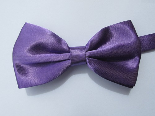 Papillon farfalla seta - farfalla,