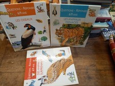 Domande Risposte 6/9 Ans 3