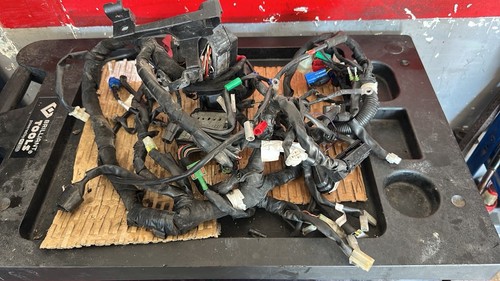 Impianto elettrico ktm - impianto, duke