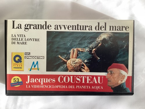 Vita delle lontre - di, mare