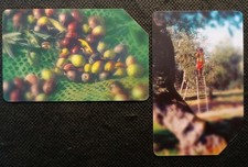 Schede Telefoniche G. 1543/4