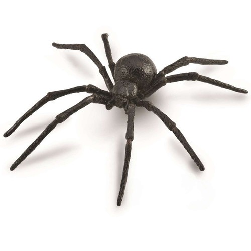 Collecta ragno vedova nera - ragno,