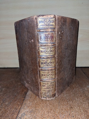 Libro antico dizionario - libro, antico-dizionario