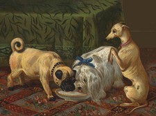 PUG WITH ITALIAN GREYHOUND AND MALTESE CHARMING DOG GREETINGS NOTE CARD