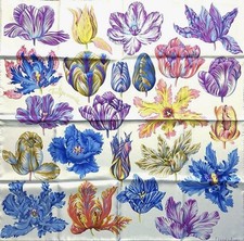 Foulard Hermes Tulipomanie 90