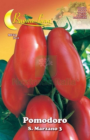 10pz semi orto - 10pz,