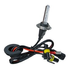 1x Lampada Lampadina Hid Xeno H7 12/24v 6000k Luce Bianca 2500 Lumen Auto Camion