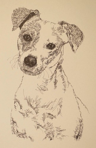 Jack russell terrier print - terrier,
